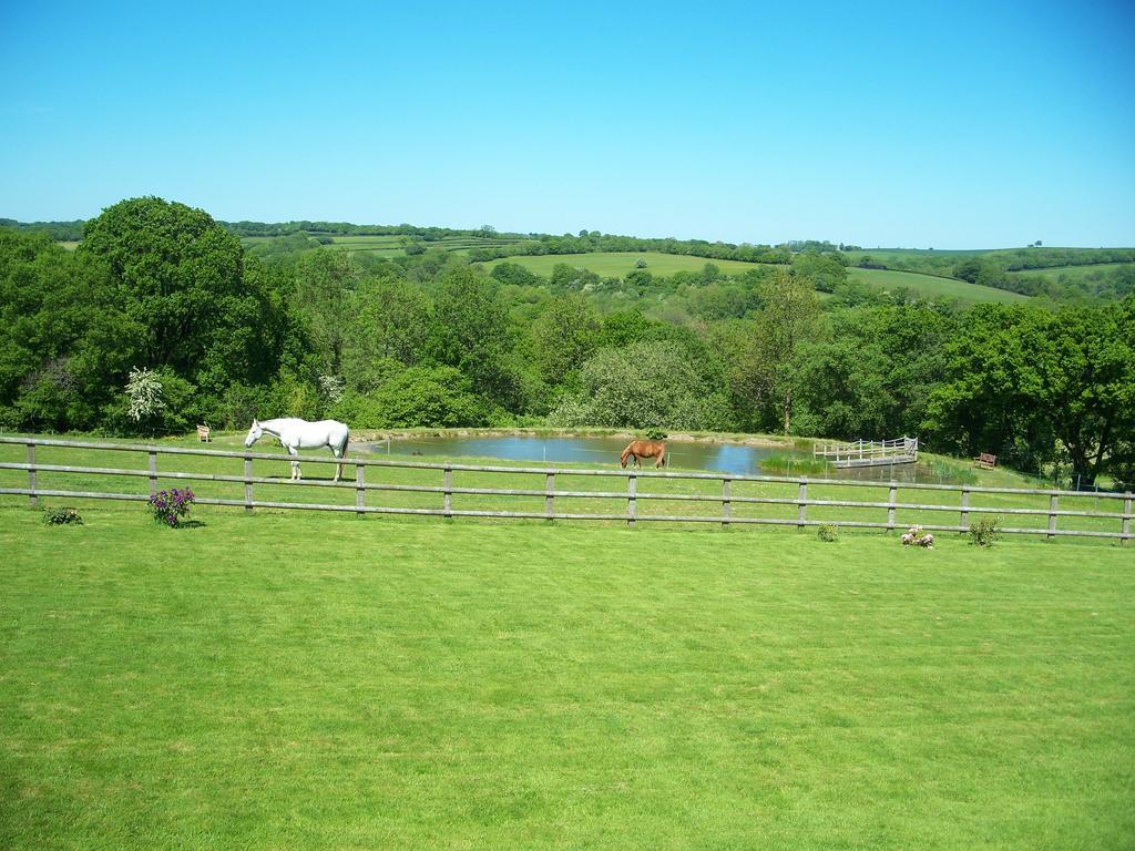Fernside Frühstückspension Templeton (Devon)